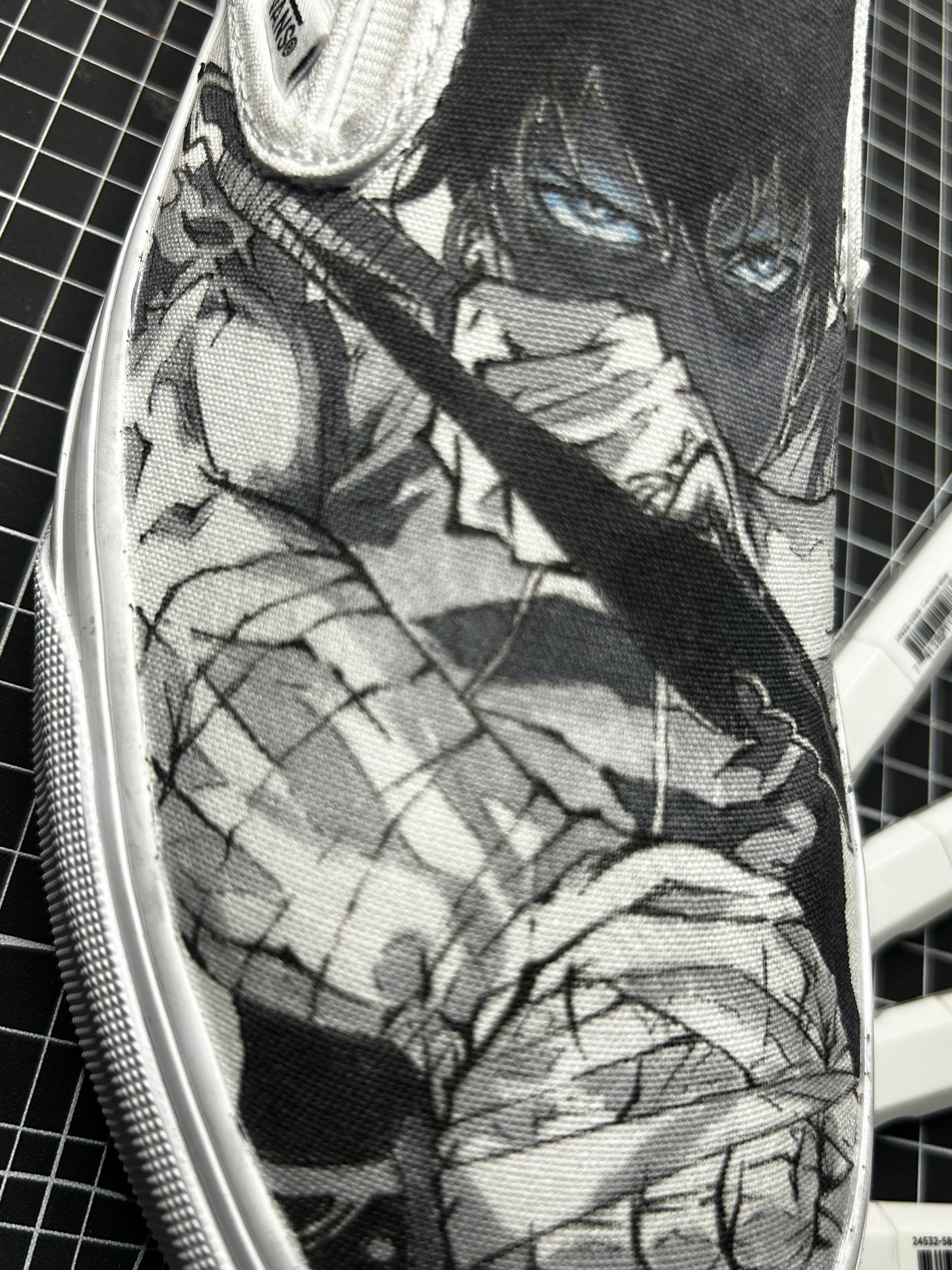 Shadow Monarch Slip on Vans